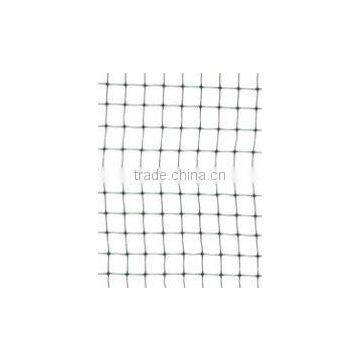 PP Anti bird net(factory)