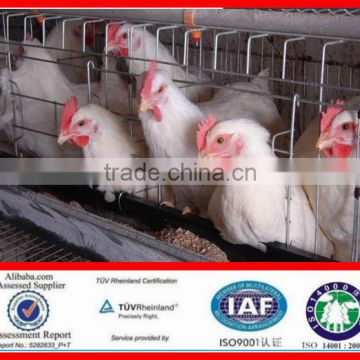 High Quality Automatic Poultry Layer Cages/Design Layer Chicken Cages/Poultry Battery Cages (professional factory)