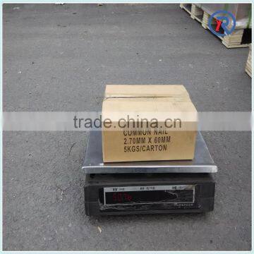 Common Wire Nails/Common Round Iron Nails Made in China photo-6