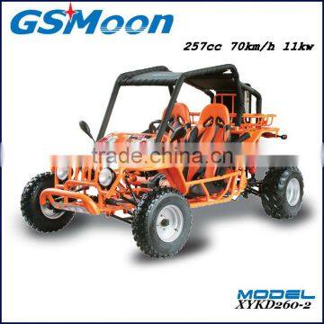 Powerfull China Cheap 250cc EEC go Karts Buggy photo-3