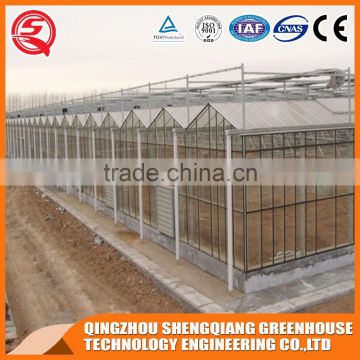 Factory outlet Wide Multi span glass agricultural Greenhouses