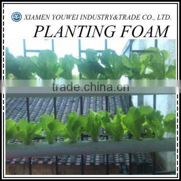 Florist Foam Blocks/Soilless Culture Foam For Greenhouse