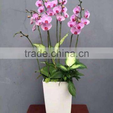 Indoor Square Planter Flower Pots,decoration Vase ,garden Gnome Flower Pots photo-4