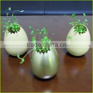 Plastic oval shape mini flower pot for home & garden