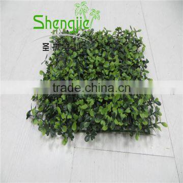 SJLJ13654 Factory Price Artificial Boxwood Grass photo-3