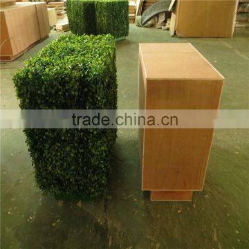 China Wholesale Boxwood Hedge 2017 Hot Sale Plastic and Topiary Boxwood Hedge photo-5
