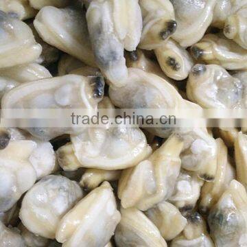 Frozen Short-neck Clam Meat in Bulk photo-2