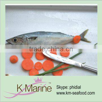 Sea frozen horse mackerel