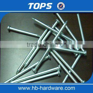 China DingZhou manufacture Q195 common nails iron