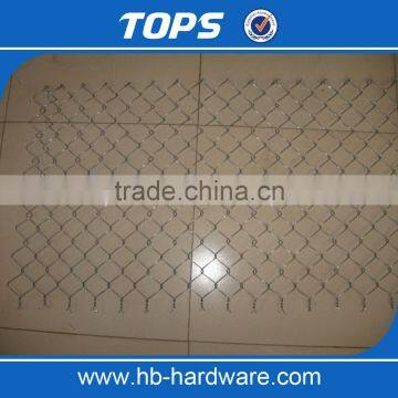 Cheap Decorative Plastic Chain Link Fence photo-4