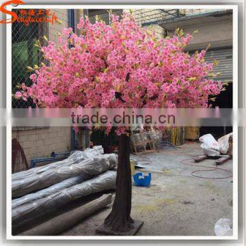 Songtao Supplier Hot Sale Mini Plastic Cherry Blossoms Trees Decoration Tree photo-3