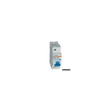 Miniature Circuit Breaker (NC-100H)