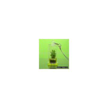Plant pet
