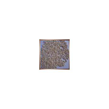 Safflowe Seed