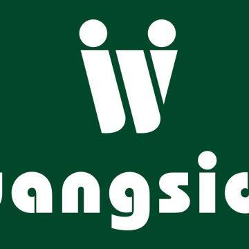 Wangsida Lighting