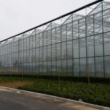 Multispan 9.6m/10.8m/12m Glass Greenhouse, Large Size Glass Greenhouse