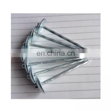 Galvanized roofing nails with washer Common wire roofing nails