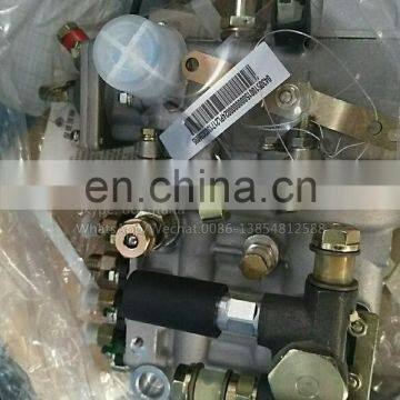 BHF4PM100001 For Yangchai YZ4102ZLQ Weifu Original Fuel Pump 4PL1156 2100252 photo-3