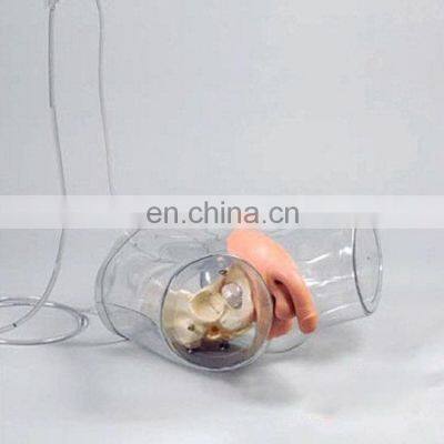 Transparent Male Catheterization Model Nursing Training Manikin photo-3