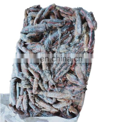 top quality china south sea black squid frozen black squid price whole round