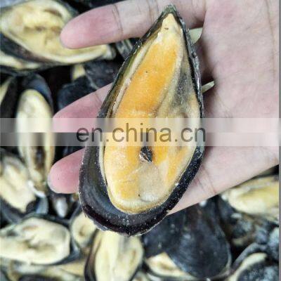 Frozen Half Shell Mussels Half Shell Mussel Meat Mytilus Edulis