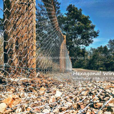 Chicken Wire Hexagonal Wire Mesh Chicken Wire Netting Wire Netting Poultry Fence Poultry Mesh photo-2