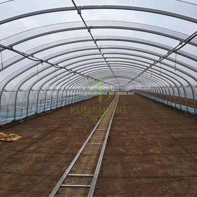 Multi-span Greenhouse photo-2