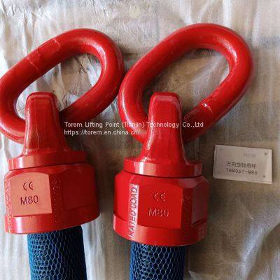 Universal Rotating Lifting Ring Lifting Point Metric Inch Thread Extension Screw Non standard Extension