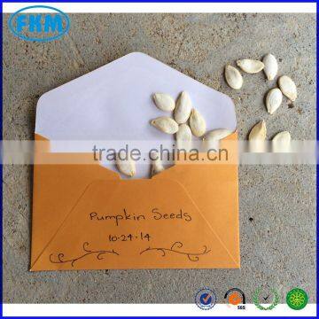 pumpkin seeds envelope