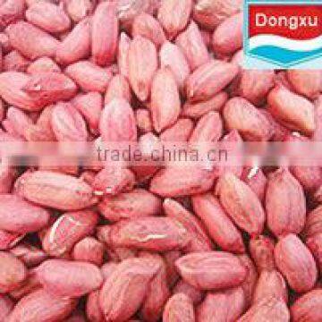 peanut kernels long type