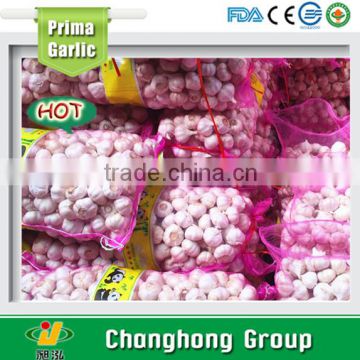 Best quality fresh garlic with low price