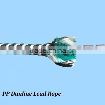 PP Danline Lead Rope