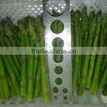 IQF frozen Asparagus with good quality and hot price