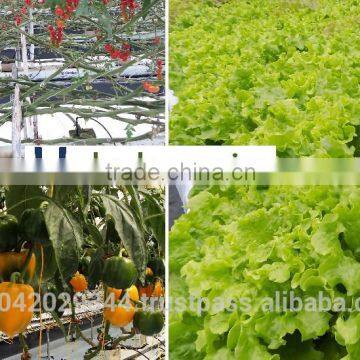 Drip Irrigation System and NFT Hydroponics for Agriculture Product