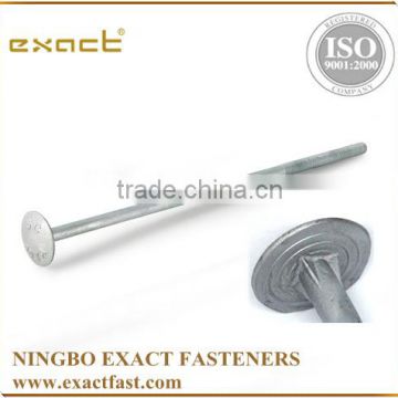 manufacturer supply carbon steel A307 standard grade 2 Hot Dipped Galvanized Timber Bolt/mushroom head bolt