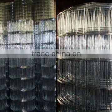 electro galvanized decorative/ poultry wire mesh(factory)