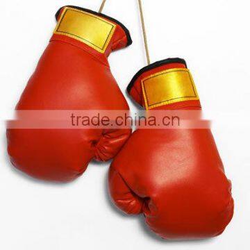 Boxing Gloves, Professional Boxing Gloves, Leather Boxing Gloves