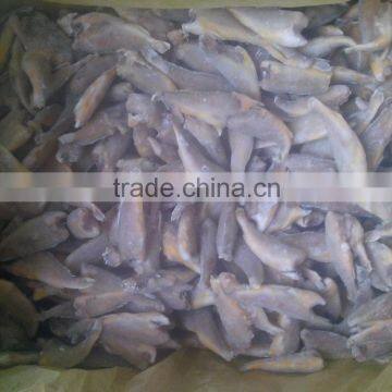 Zhoushan Farming Headless Frozen Small Croaker photo-2