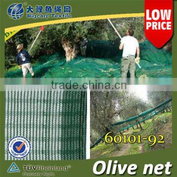 ( 20 years factory) New Arrival, green Rete Raccolta Olive 92GSM / 60101-92