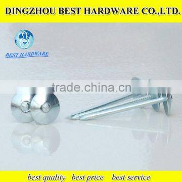 galvanized umbrella head roofing nail