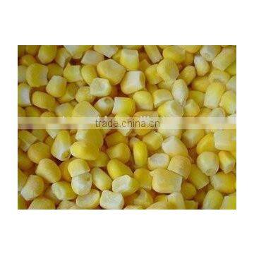 Non-GMO Frozen Sweet Corn Kernels IQF Sweet Corn Kernels photo-2