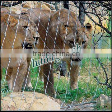 Anping Aviary Chain Link for Protection photo-1