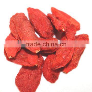 2015 NingXia 150 fresh dried goji berry/ tribute