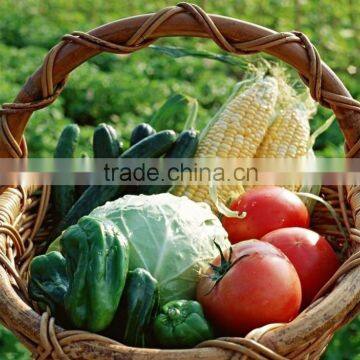 reusable and eco-friendly wicker basket used for food or flowers hot sell in North America and Europe