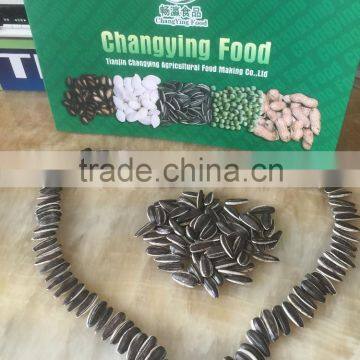 Sunflower Seed photo-3