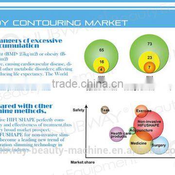 HIFUShape Body Contouring/HIFU Body Shaping/HIFU Fat Reduction System photo-3