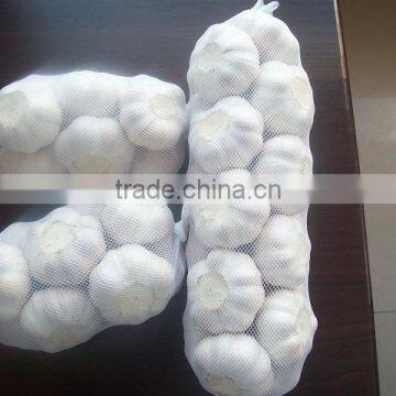 Fresh China Garlic photo-6