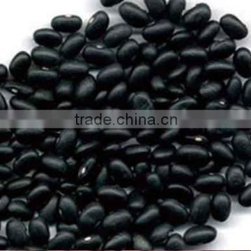 chinese black bean