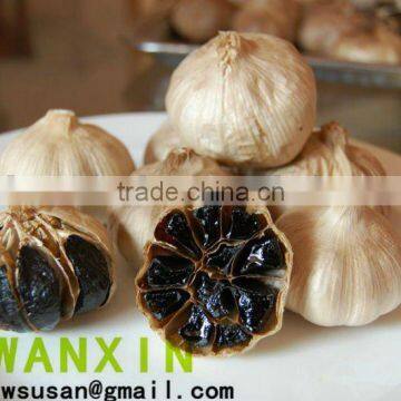 china black garlic