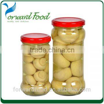 New crop mushroom canned in whole or pieces